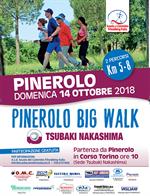 PINEROLO (To) - Big Walk Tsubaki Nakashima